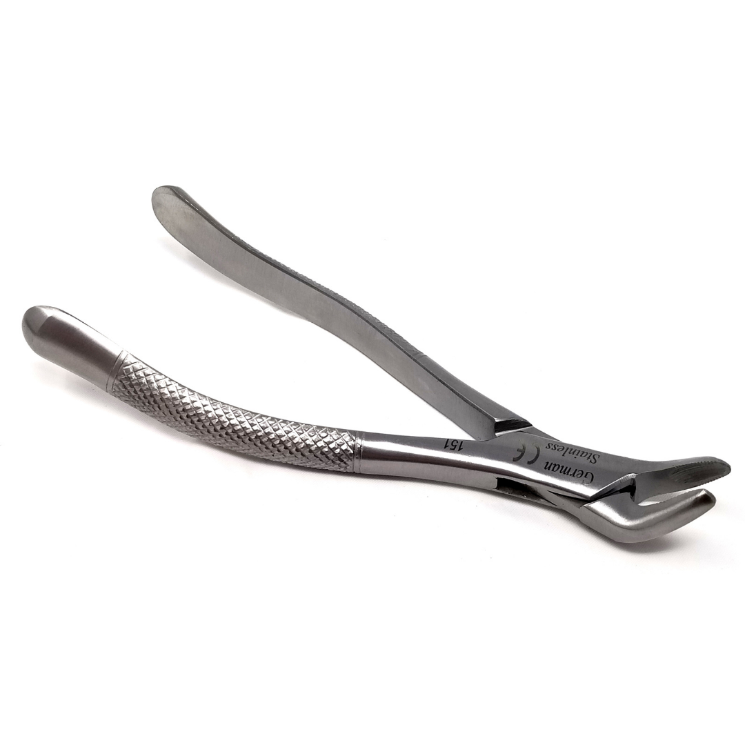 Dental Extracting Forceps #151 with Serrated Beaks Stainless Steel Instrument