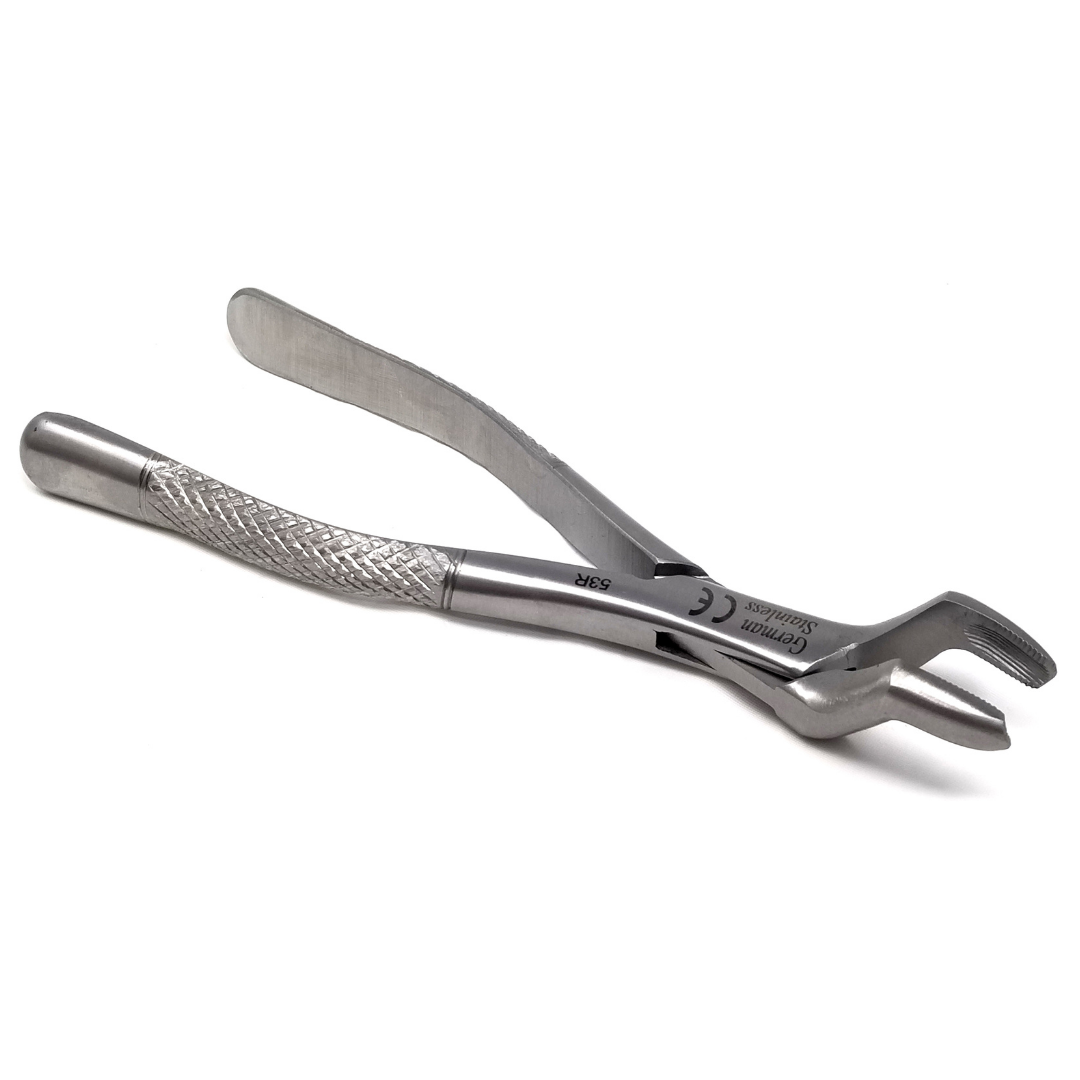 Dental Extracting Forceps #53R with Serrated Beaks Stainless Steel Instrument