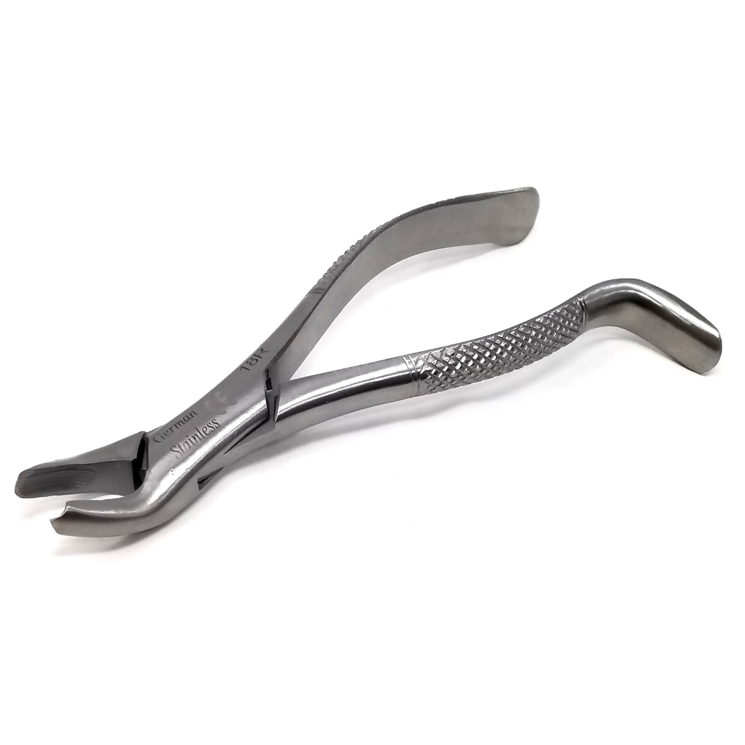 Dental Extracting Forceps #18R with Serrated Beaks Stainless Steel Instrument