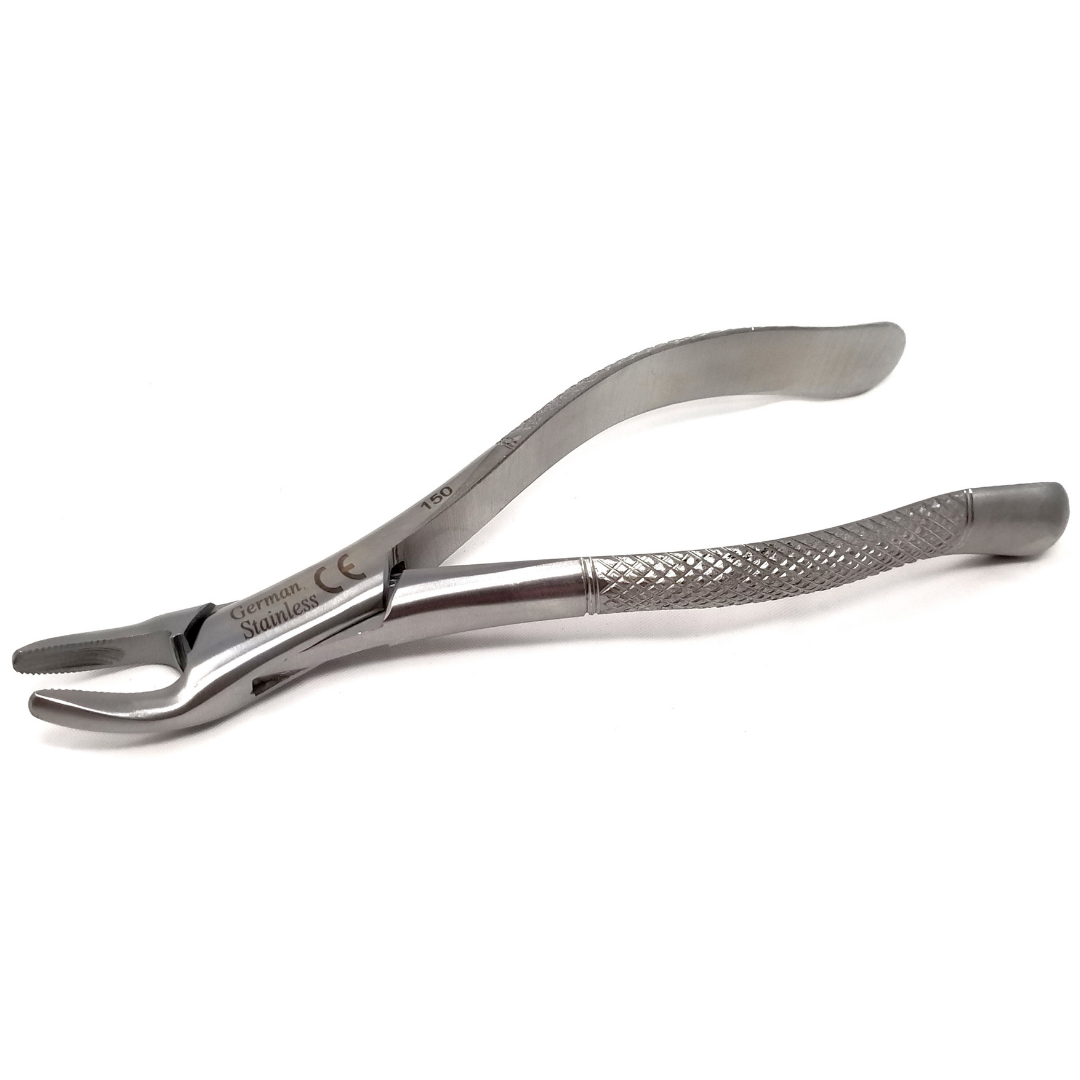 Dental Extracting Forceps #150 with Serrated Beaks Stainless Steel Instrument