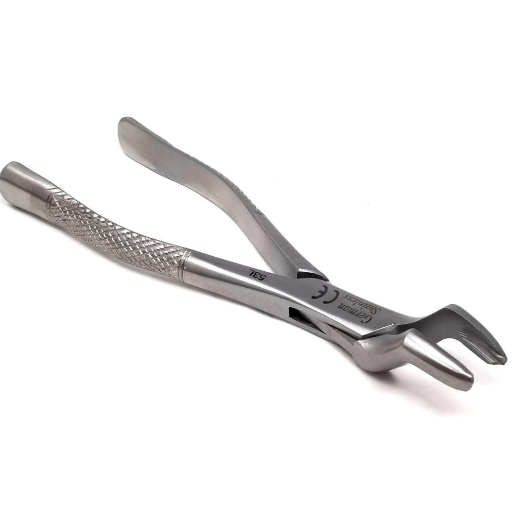 Dental Extracting Forceps #53L with Serrated Beaks Stainless Steel Instrument