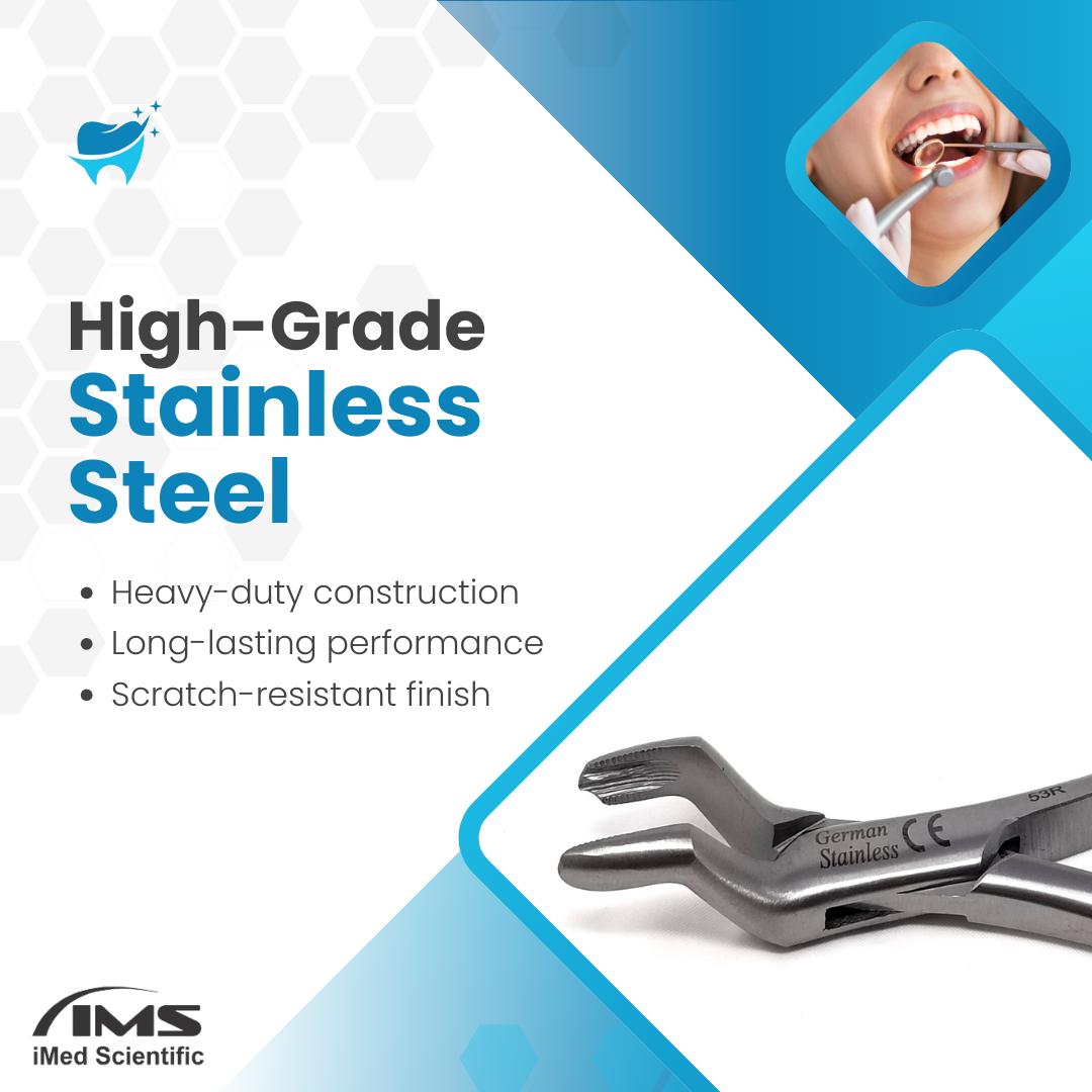 Dental Extracting Forceps #53R with Serrated Beaks Stainless Steel Instrument