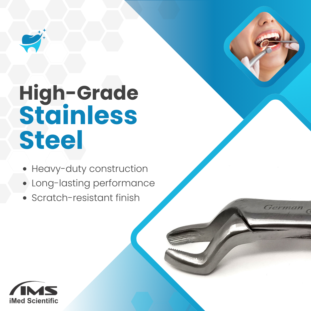 Dental Extracting Forceps #10S with Serrated Offset Beaks Stainless Steel Instrument