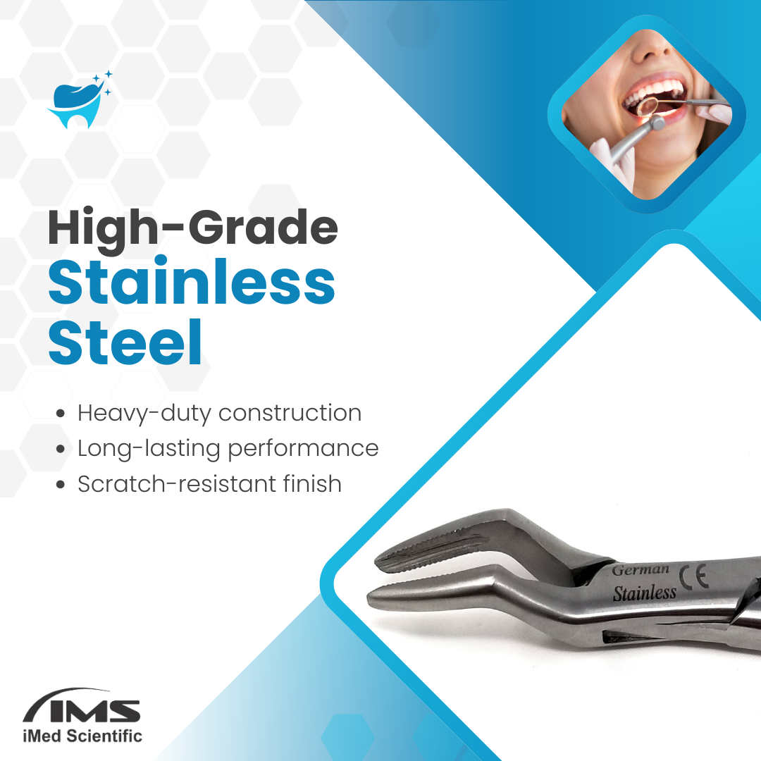 Dental Extracting Forceps #32 with Serrated Offset Beaks Stainless Steel Instrument
