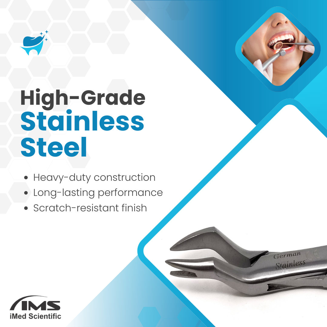 Dental Extracting Forceps #88R with Right Pointed Split Beaks Stainless Steel Instrument