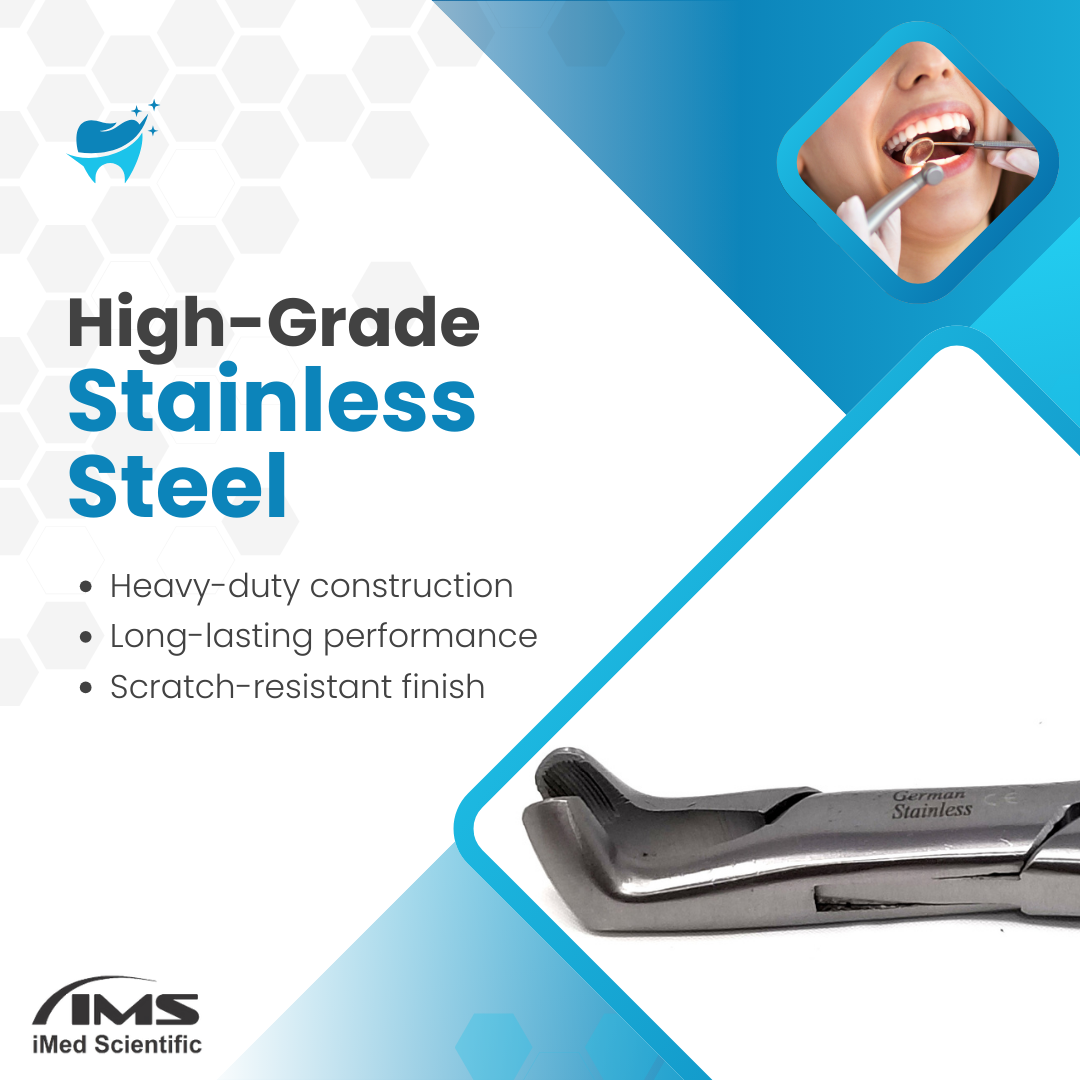 Dental Extracting Forceps #222 with Serrated Angled Beaks Stainless Steel Instrument