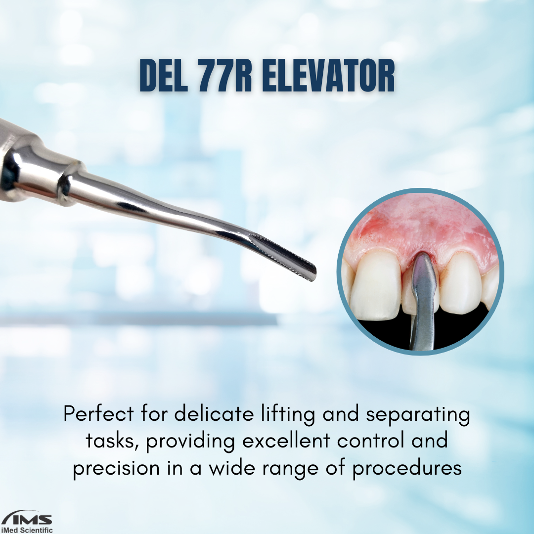 Apical Root Dental Elevator DEL-77R, Stainless Steel