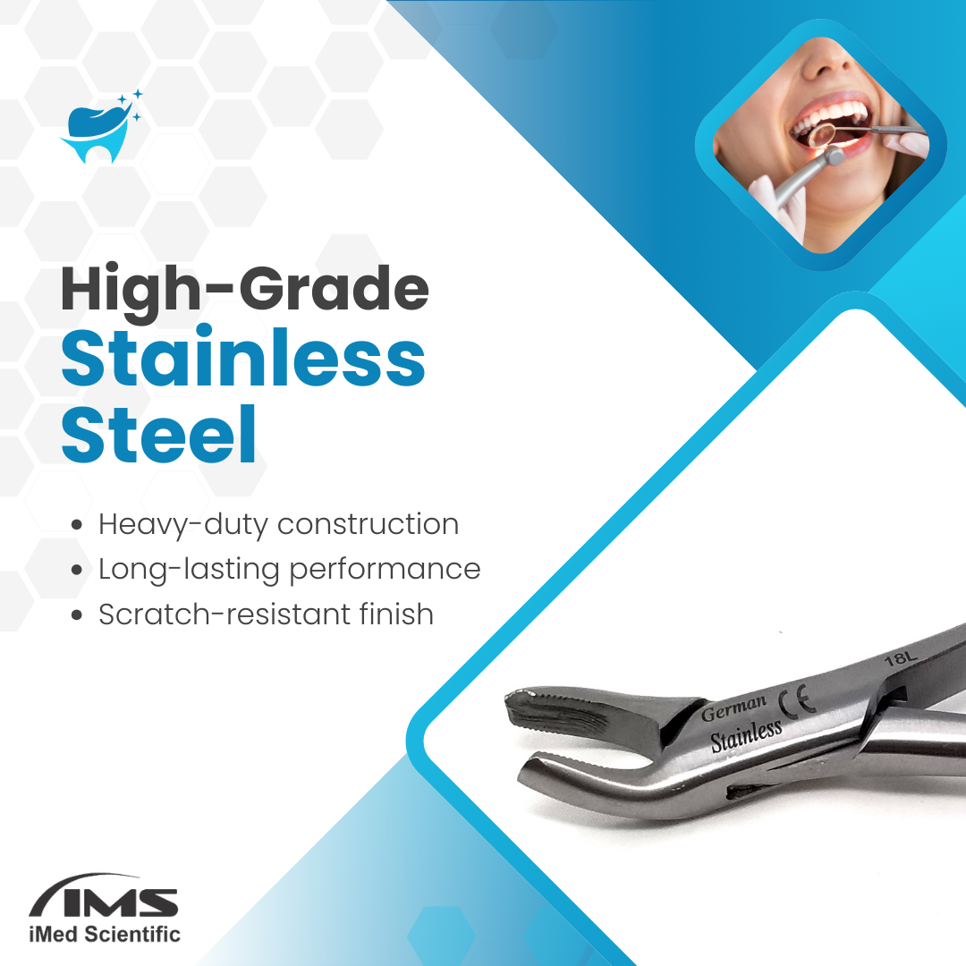 Dental Extracting Forceps #18L with Serrated Beaks Stainless Steel Instrument