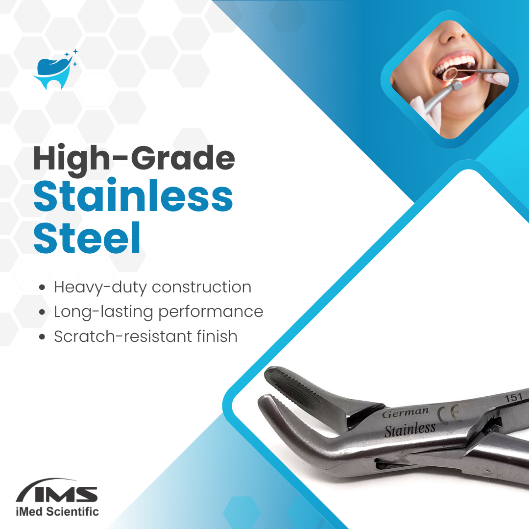 Dental Extracting Forceps #151 with Serrated Beaks Stainless Steel Instrument