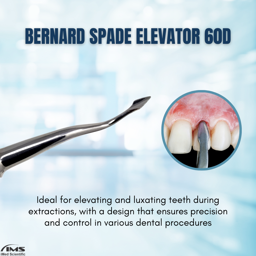 BERNARD ROOT TIP DISTAL SPADE ELEVATOR ELE-0060D, Stainless Steel