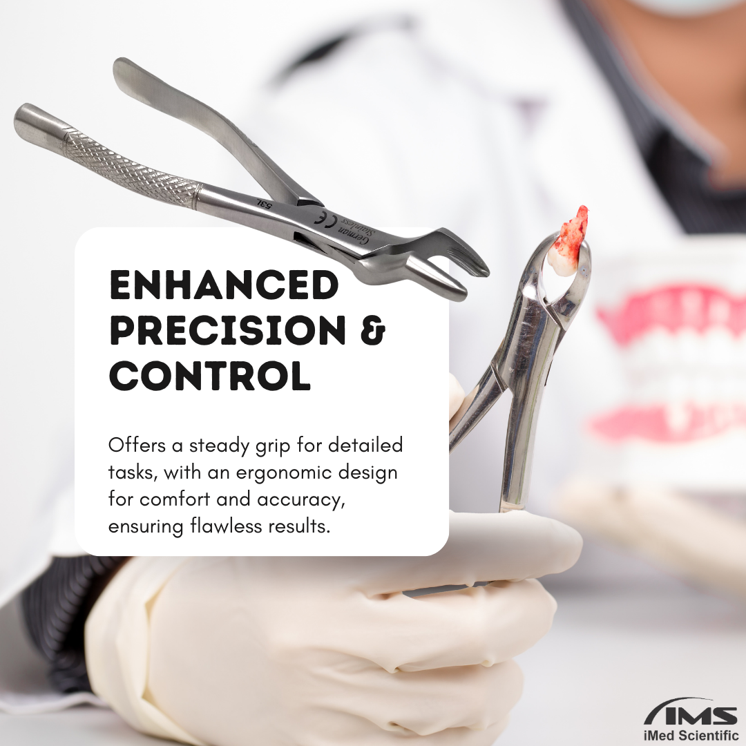 Dental Extracting Forceps #53R with Serrated Beaks Stainless Steel Instrument