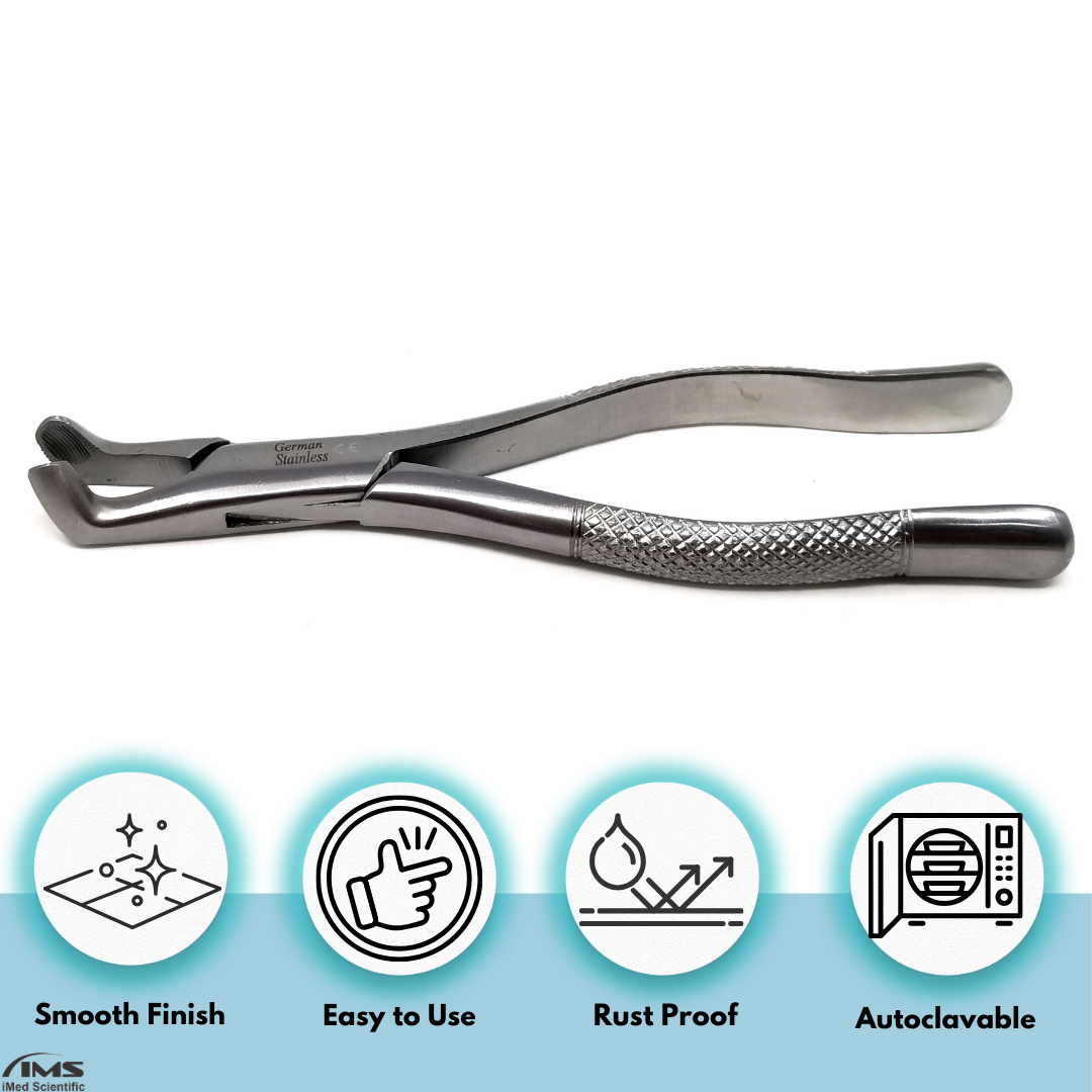 Dental Extracting Forceps #222 with Serrated Angled Beaks Stainless Steel Instrument