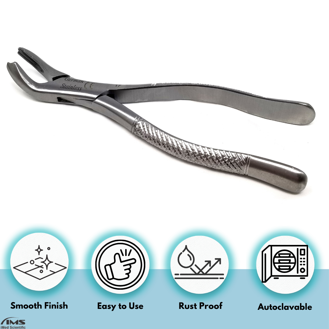 Dental Extracting Forceps #17 with Serrated Beaks Stainless Steel Instrument