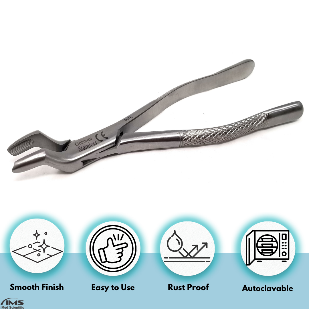 Dental Extracting Forceps #53L with Serrated Beaks Stainless Steel Instrument