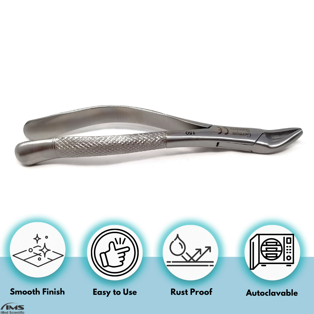 Dental Extracting Forceps #150 with Serrated Beaks Stainless Steel Instrument