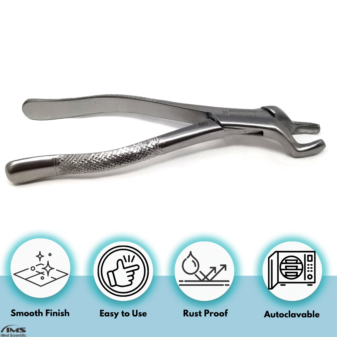 Dental Extracting Forceps #10S with Serrated Offset Beaks Stainless Steel Instrument