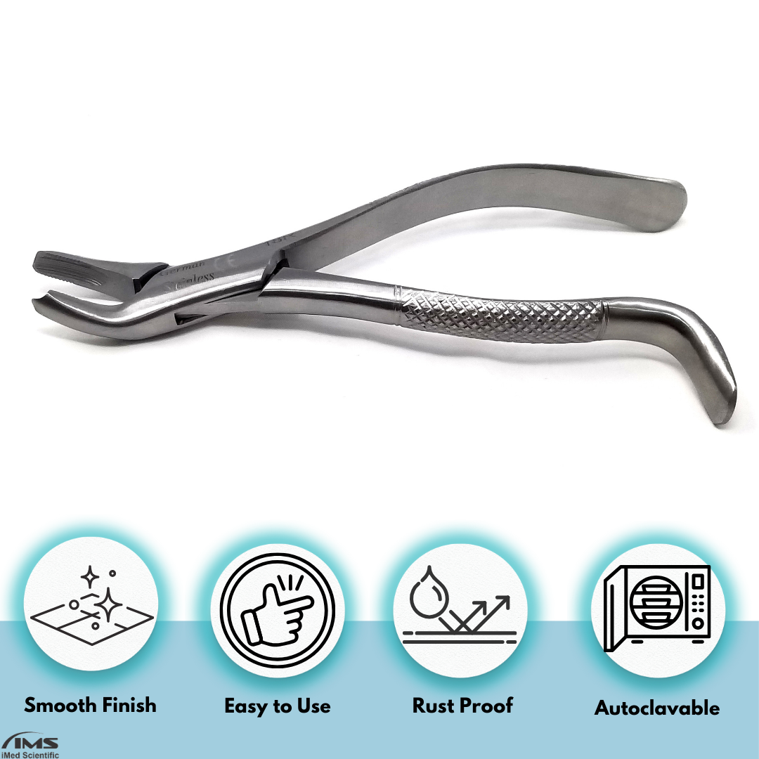 Dental Extracting Forceps #18R with Serrated Beaks Stainless Steel Instrument