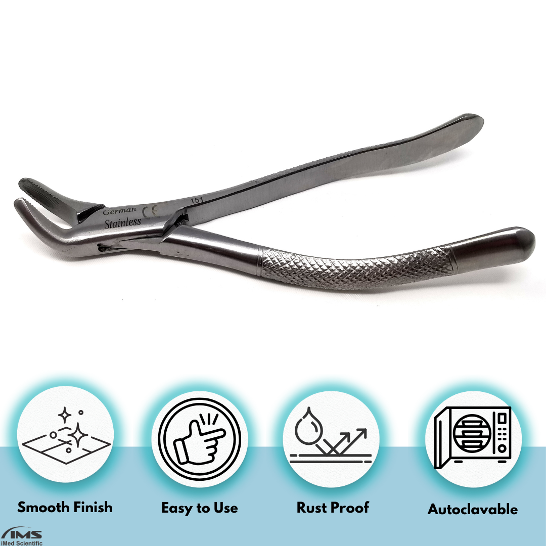 Dental Extracting Forceps #151 with Serrated Beaks Stainless Steel Instrument