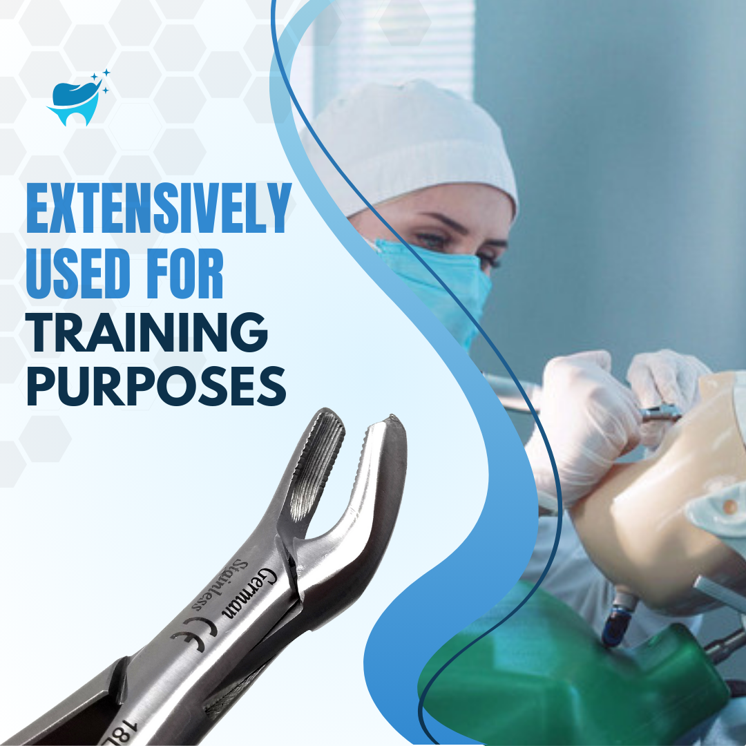 Dental Extracting Forceps #18L with Serrated Beaks Stainless Steel Instrument