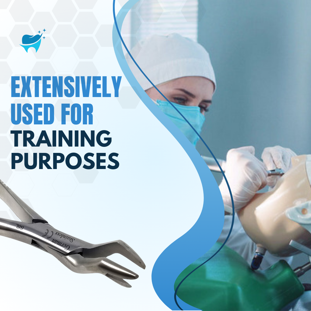 Dental Extracting Forceps #88L with Left Pointed Split Beaks Stainless Steel Instrument
