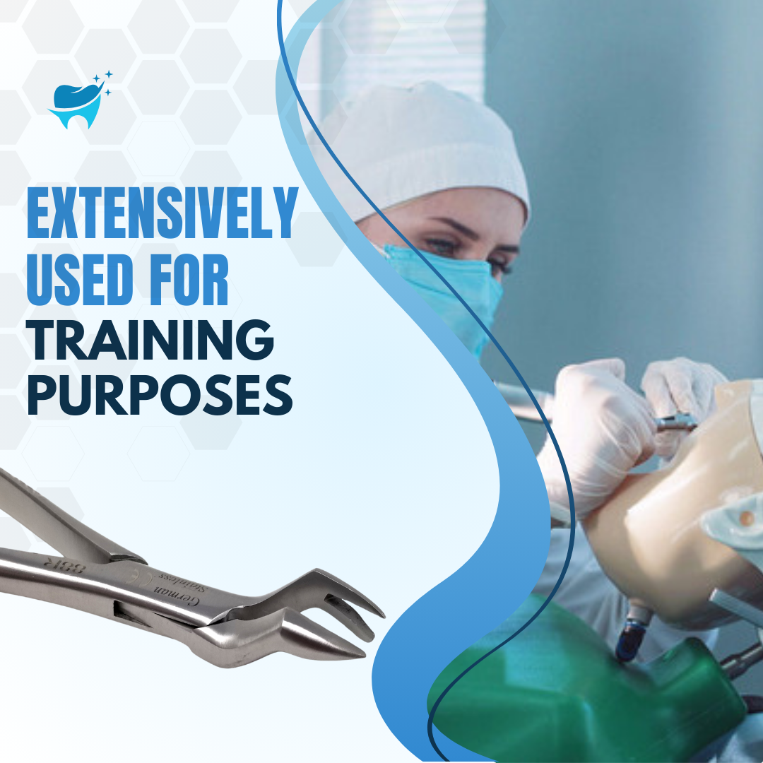 Dental Extracting Forceps #88R with Right Pointed Split Beaks Stainless Steel Instrument