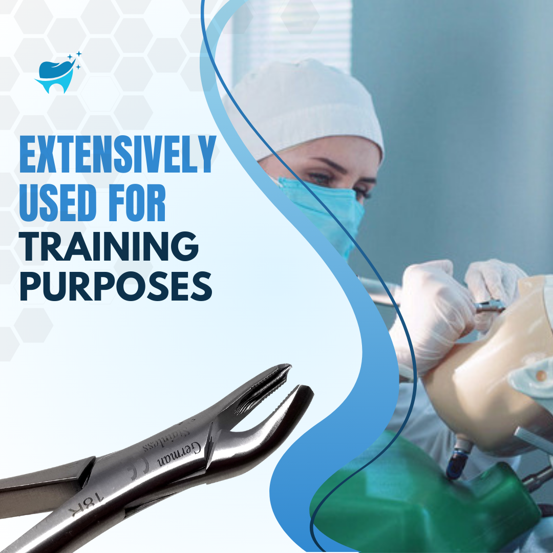 Dental Extracting Forceps #18R with Serrated Beaks Stainless Steel Instrument