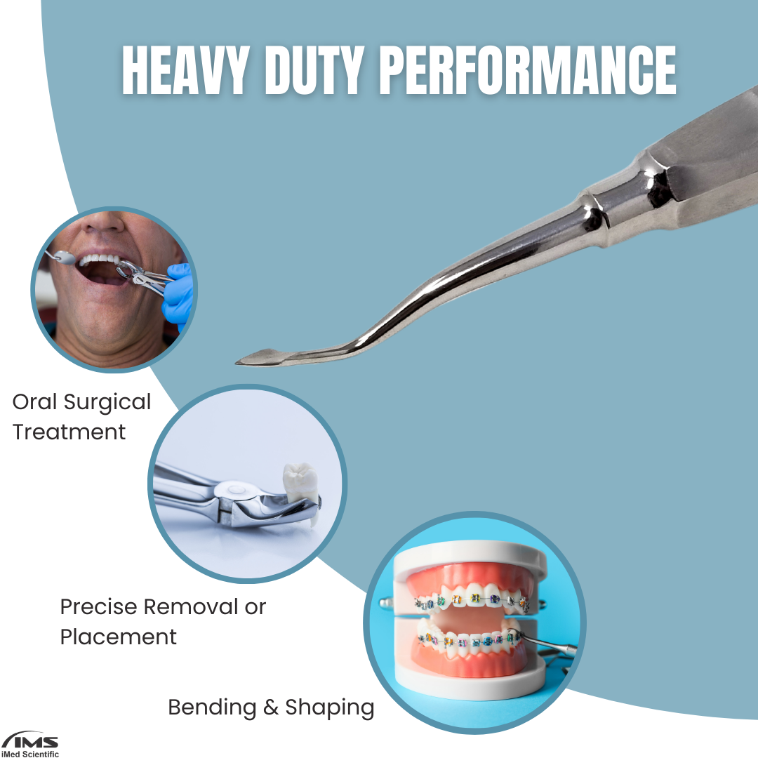 BERNARD ROOT TIP DISTAL SPADE ELEVATOR ELE-0060D, Stainless Steel