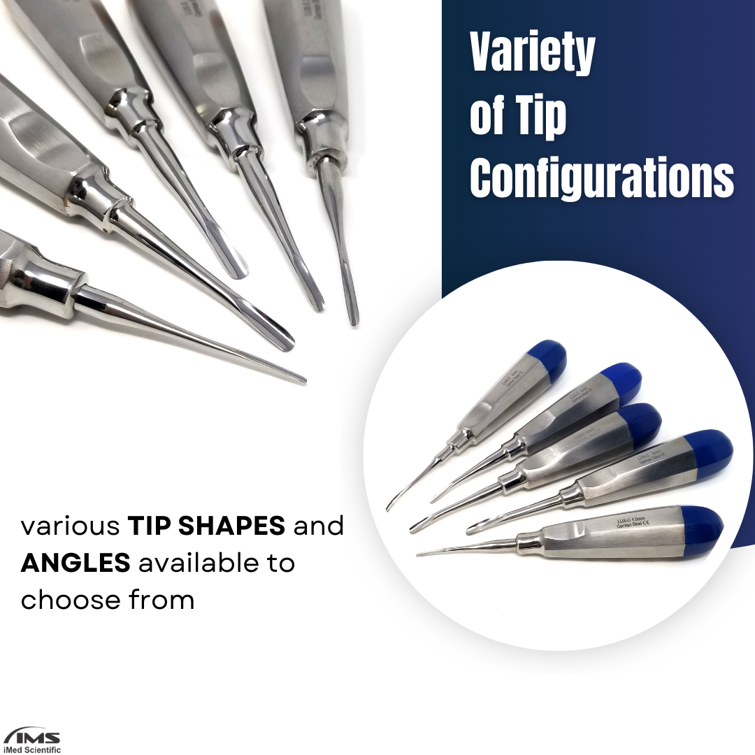 Dental Luxating Elevator Curved 2mm, Blue Handle, Stainless Steel