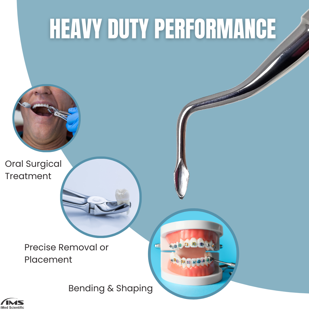 BERNARD ROOT TIP RIGHT CURVED SPADE ELEVATOR ELE-0060R, Stainless Steel