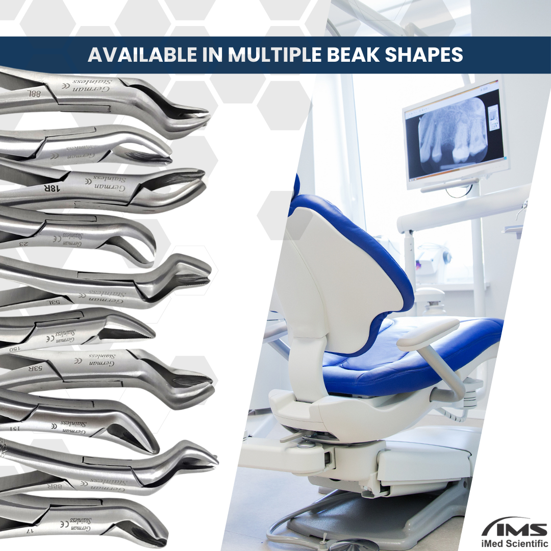 Dental Extracting Forceps #88L with Left Pointed Split Beaks Stainless Steel Instrument