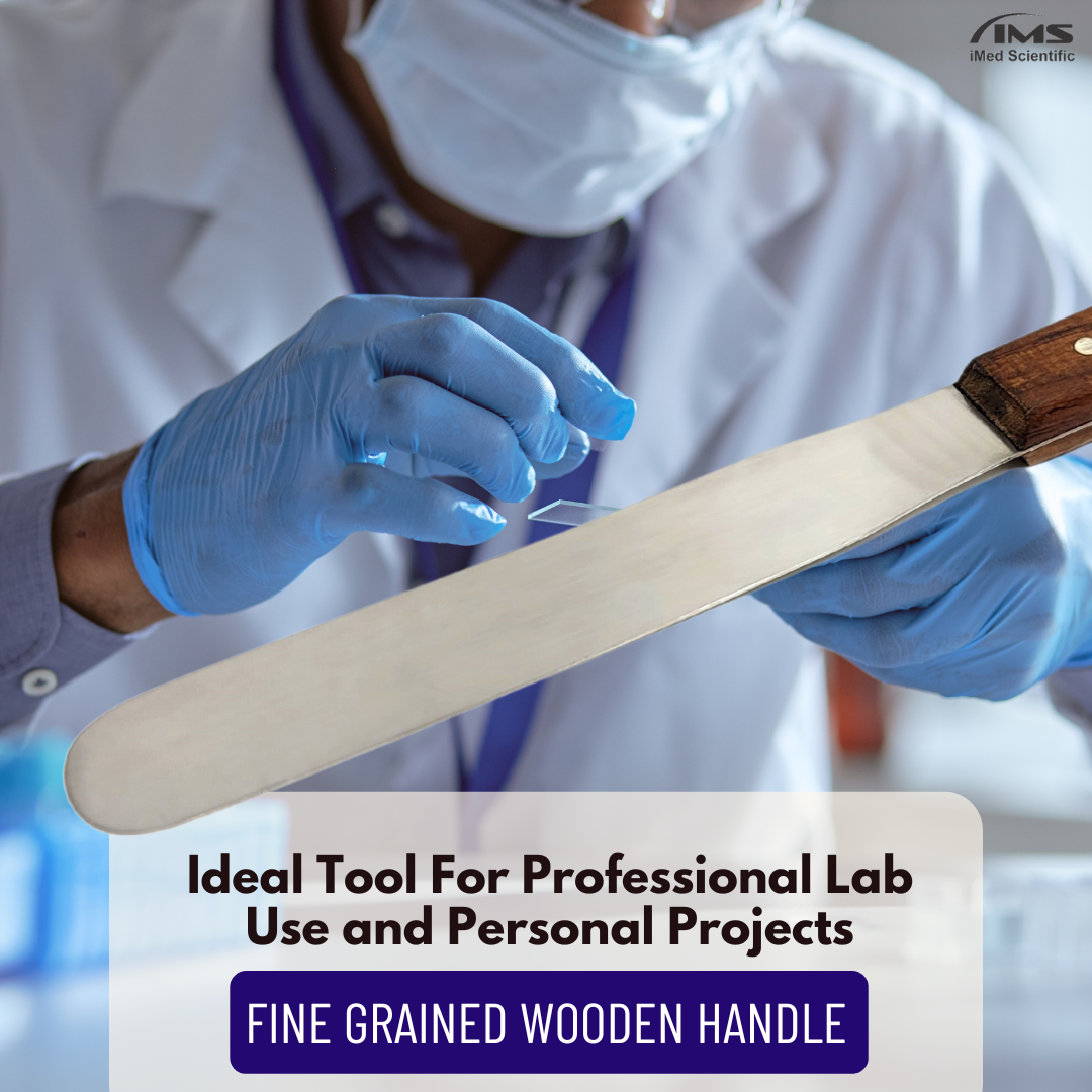 IMS-WHS8 Stainless Steel Lab Spatula with Wooden Handle, 8" Blade, 1.25" Blade Width, 12.4" Total Length