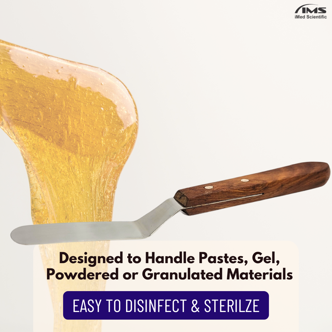 Stainless Steel Lab Spatula with Wooden Handle, 3" Offset Bayonet Blade, 7" Total Length