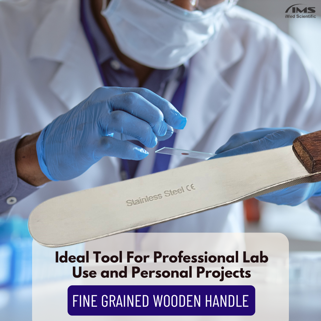 IMS-WHS3 Stainless Steel Lab Spatula with Wooden Handle, 3" Blade, 0.62" Blade Width, 7" Total Length