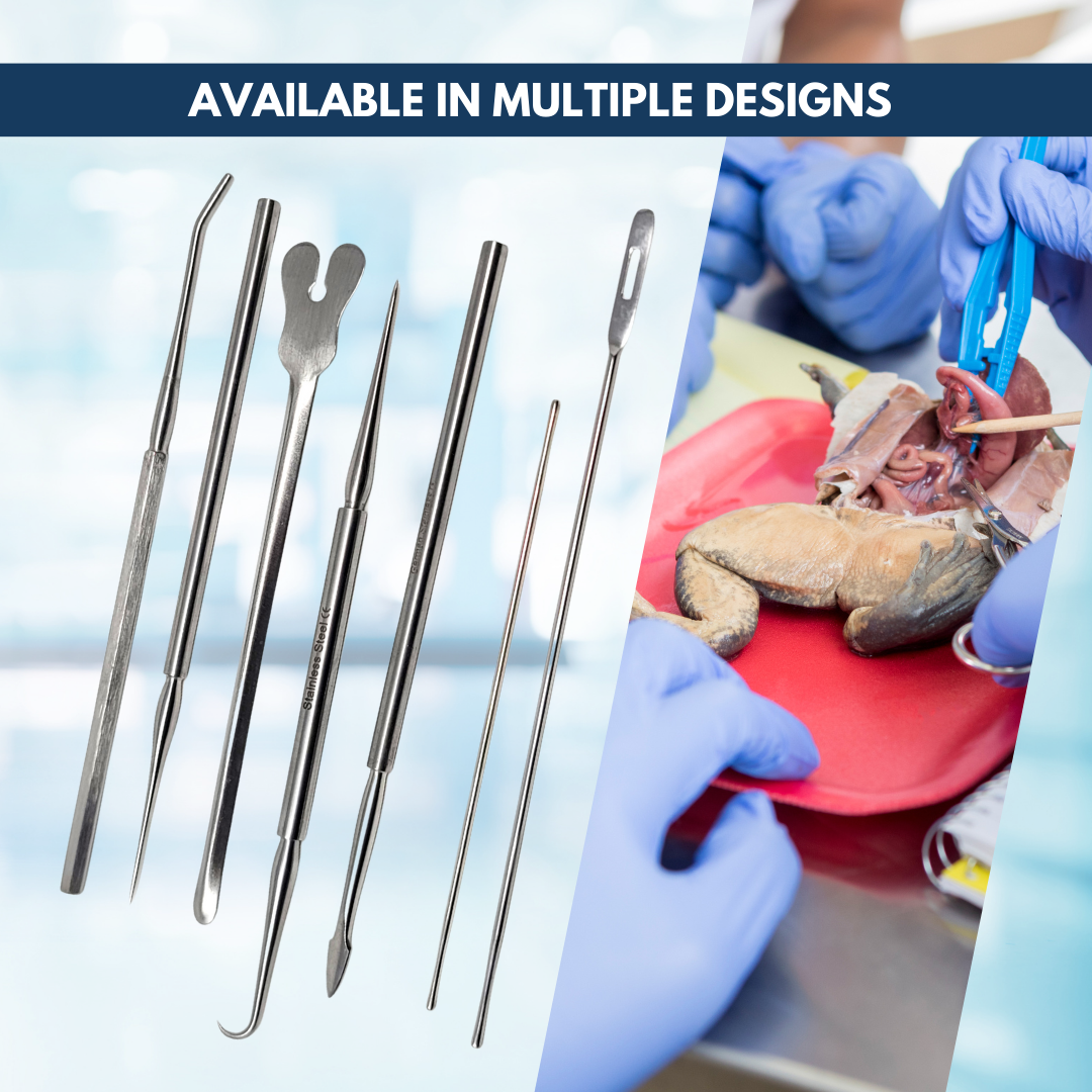 Dissecting Probe Teasing Straight Needle Point, Stainless Steel
