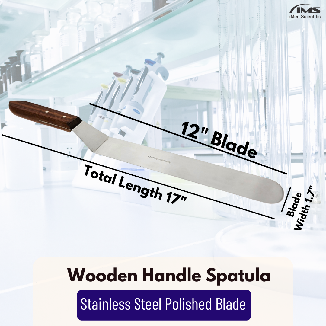Stainless Steel Lab Spatula with Wooden Handle, 12" Offset Bayonet Blade, 17" Total Length