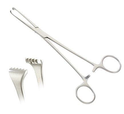 Premium Allis Tissue Clamp Forceps 6", 4x5 Teeth