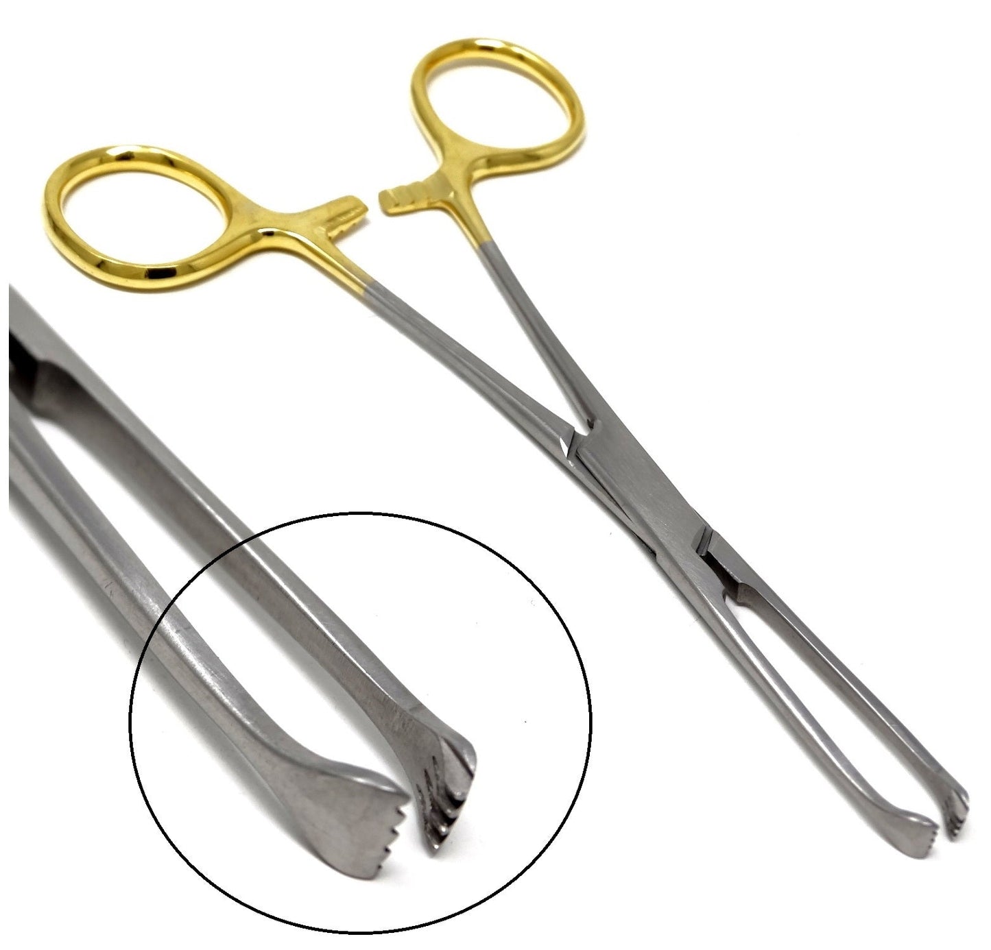 Gold handle Premium Allis Tissue Clamp Forceps 6", 4x5 Teeth