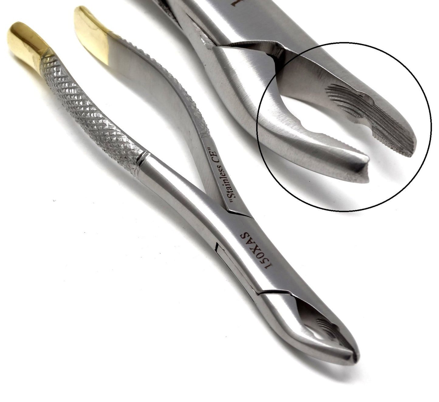 Dental Extraction Forceps 150XAS, Gold Handle, Stainless Steel