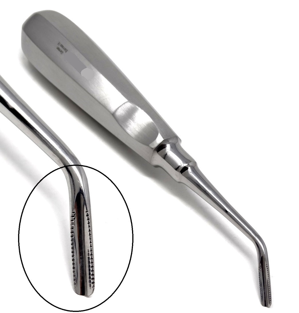 Lindo Levien Serrated Elevators, Right Side, Stainless Steel