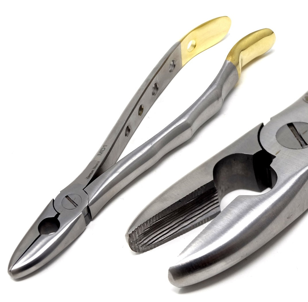 Dental Extraction Forceps MD1, Gold Handle, Stainless Steel