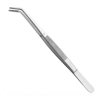 Stainless Steel Dental College Cotton Pliers