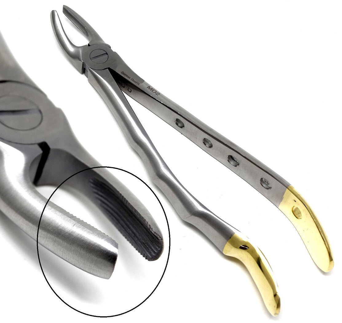 Dental Extraction Forceps MD2, Gold Handle, Stainless Steel