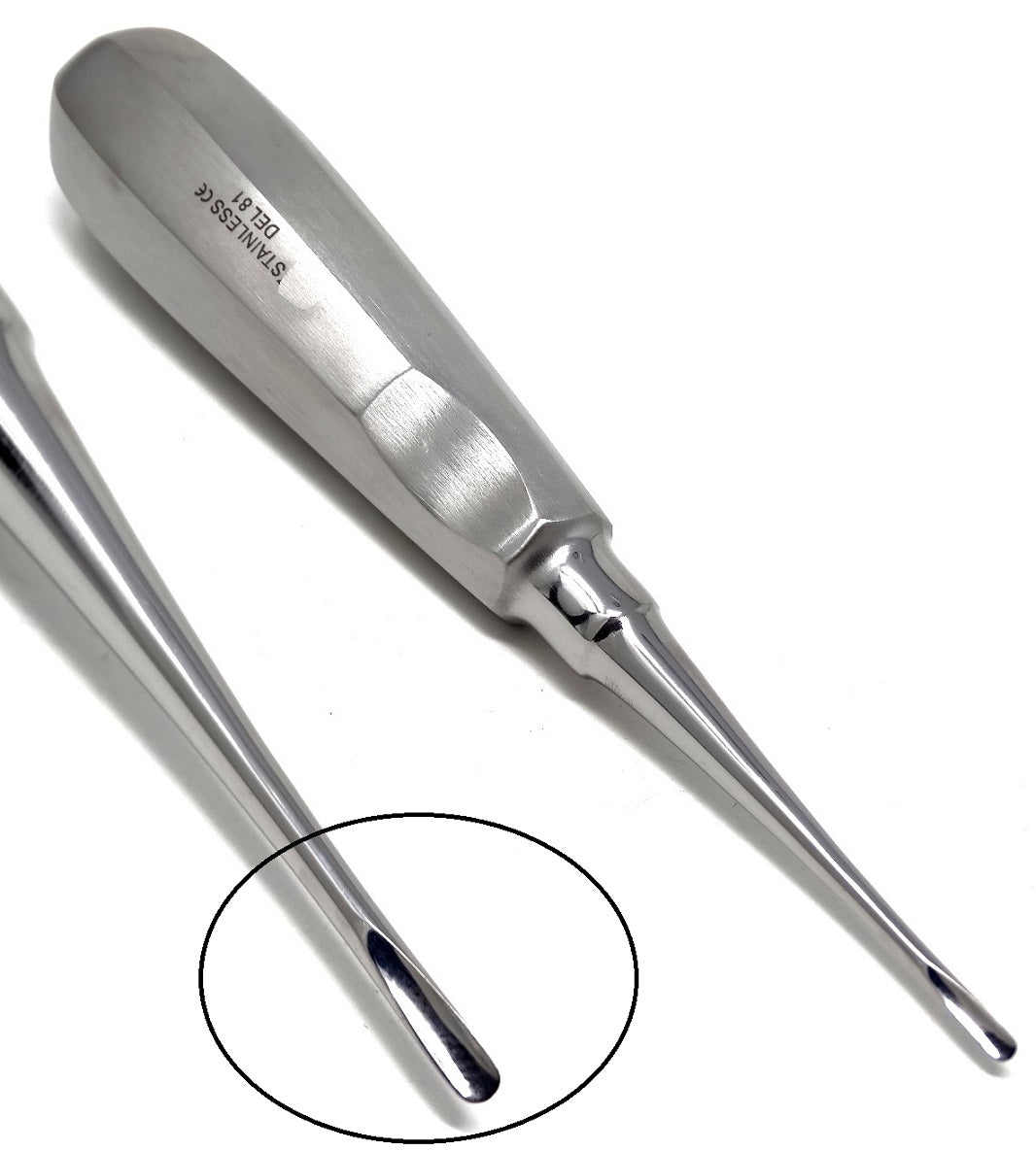 Apical Root Dental Elevator DEL-81, Stainless Steel
