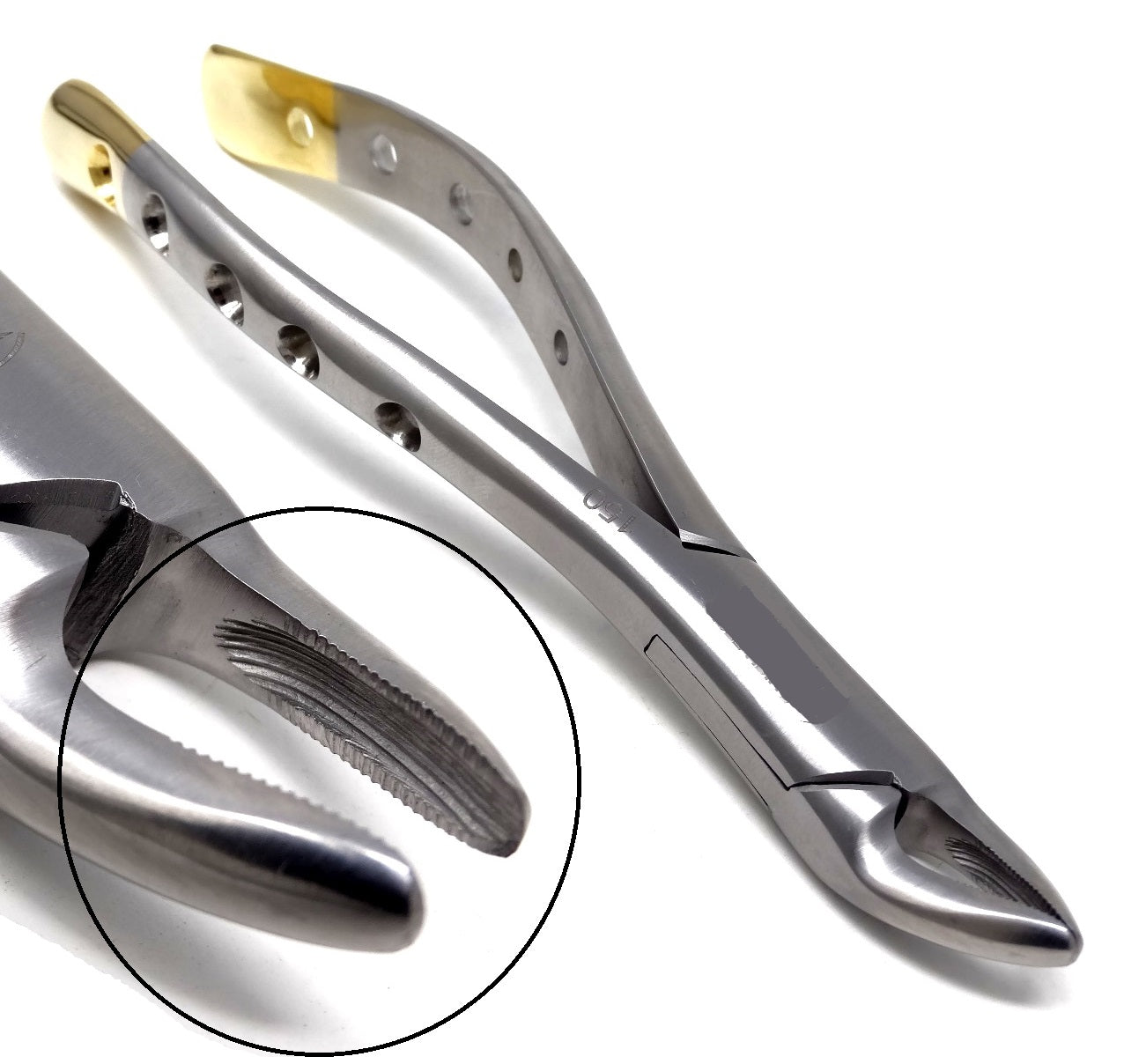 Dental Extraction Forceps #150, Gold Handle, Stainless Steel
