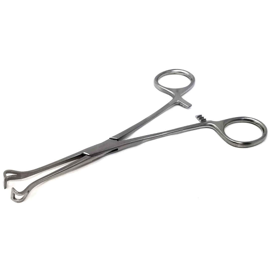 Babcock Forceps with Rounded Loop Windowed Jaws and Ratchet Lock 6.25"