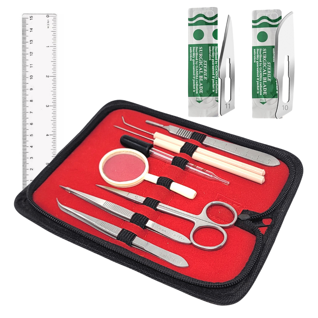 30 Pcs Basic Dissecting Kit in a Zipper Case with Blades