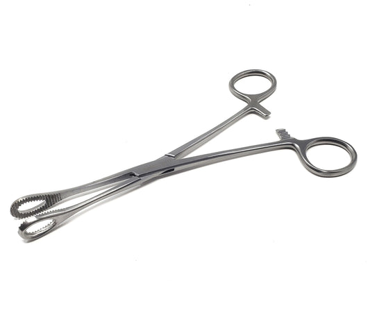 Sponge Holding Forceps 7" Straight, Stainless Steel
