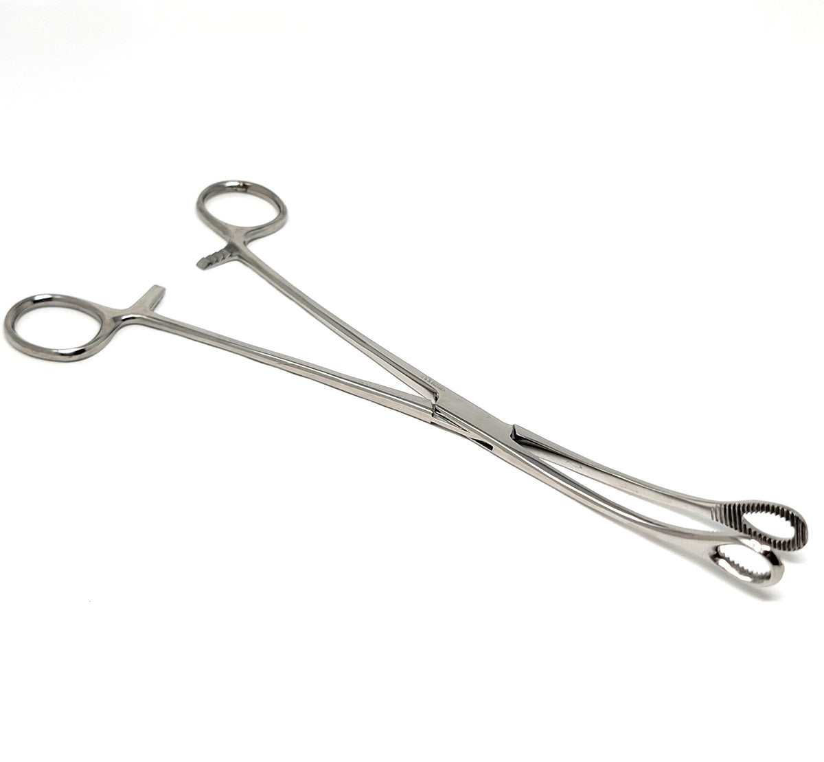 Sponge Holding Forceps 9.5" Curved, Stainless Steel