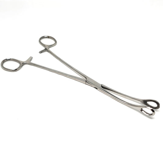 Sponge Holding Forceps 9.5" Curved, Stainless Steel
