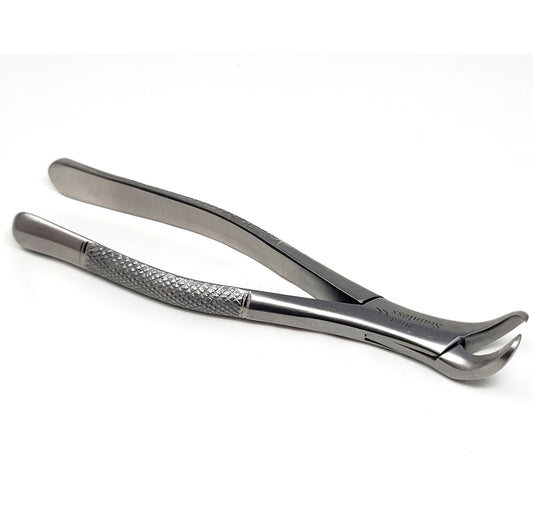 Dental Extracting Forceps #23 with Cow Horn Beaks, Stainless Steel